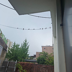 매일 읽고 쓰고 달립니다. 썸네일