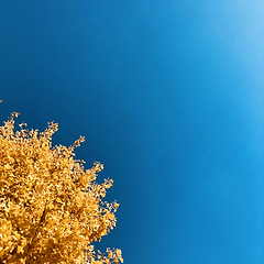 가끔 이런 눈물을 사랑해 보기로 했다 썸네일