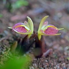 [연재] 바람이 불어오는 곳 썸네일