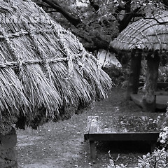 [연재] 바람이 불어오는 곳 썸네일