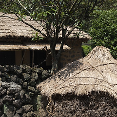 [연재] 바람이 불어오는 곳 썸네일