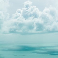 양자(量子)로 마음 이해하기 썸네일