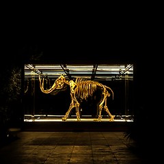 멸종된 매머드를 되살리는 스타트업 썸네일