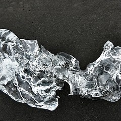 먹을 수 있는 포장지를 만드는 팀 썸네일