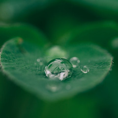 기식(氣食)을 위한 의식 혁명 썸네일