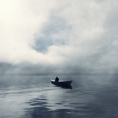 흔들리기엔 너무 썸네일
