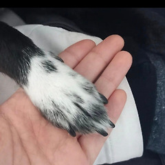 엑셀의 달인이 되는 방법 썸네일