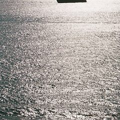이미지정보