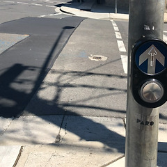 존재를 먼저 알려주는 나라, 호주 썸네일