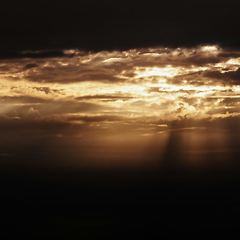 망각은 신의 축복이다 썸네일