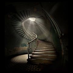 감사가 없던 날의 기록 썸네일