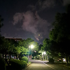 혹시 길을 잃으셨나요? 내가 사랑하는 길 썸네일