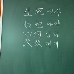  대설(大雪) — 마음에도 눈이 쌓이는 날 썸네일