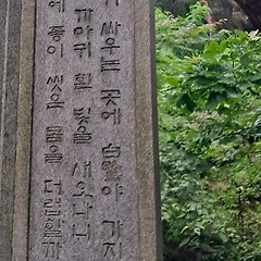 고집과 소신 사이 썸네일