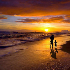 아버지의 궤적 썸네일