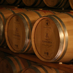 와인 숙성과 고기 숙성, 닮은 듯 다른 기다림 썸네일