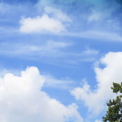 파란 하늘. 썸네일