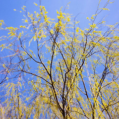 몰입의 시간. 썸네일