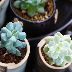 친애하는 X 리뷰. 썸네일