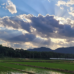 흔적 없는 길 위에 선 시간 썸네일