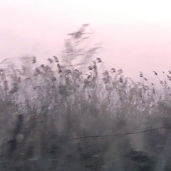 침묵의 과잉 썸네일