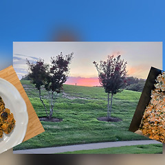 미국 친구를 위해 만든 깻잎 케이크 썸네일