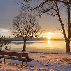 오늘의 다짐 썸네일