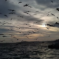 체공하지 못한 생각들  썸네일