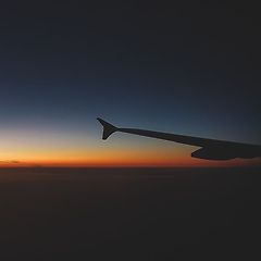 등 푸른 달 썸네일