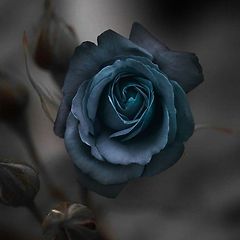 가짜실명 썸네일