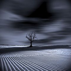 잘 해냈다는 말이 어려운 사람들을 위하여 썸네일