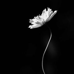 책을 쥔 손으로 버티던 시간들 썸네일