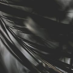 무게 없는 언어 썸네일