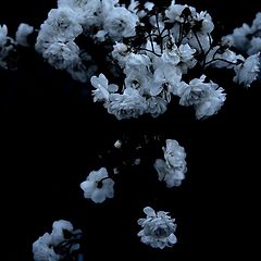 고요한 검은 것 사이에 섞인 하얀 난방 썸네일