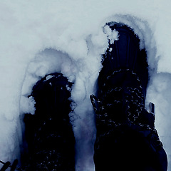 오타루의 설원  썸네일