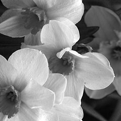 끈으로 이어져 있는 사람들 썸네일