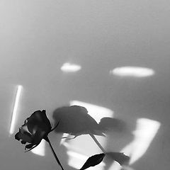 인생산책 썸네일