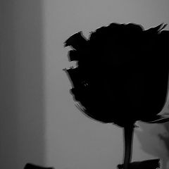 나에게로 돌아오는 밤  썸네일