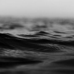 공유의 본능 썸네일