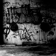 밤의 향연 썸네일