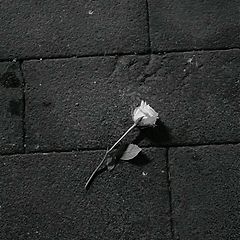 끝나지 않은 호흡의 기록 썸네일