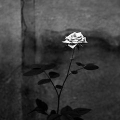 귤을 까다 생각난 것들  썸네일