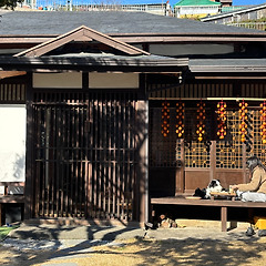 [11월 28일 금요일] 솔직한 사람 vs 솔직한 사람 썸네일