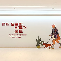 헤일리 티프먼, 일상을 그리다 썸네일