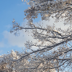 이미지정보