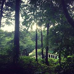 김기덕감독의 악어, 부산국제영화제의 출발  썸네일