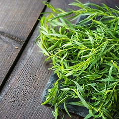 타라곤의 역사와 어원 썸네일