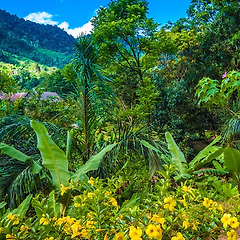 카트라페이 에센셜 오일 썸네일