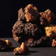 오포포낙스의 역사와 어원 썸네일