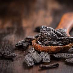 통카빈의 역사와 어원 썸네일